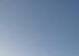 20230117_113332 (Large).jpg (352910 bytes)